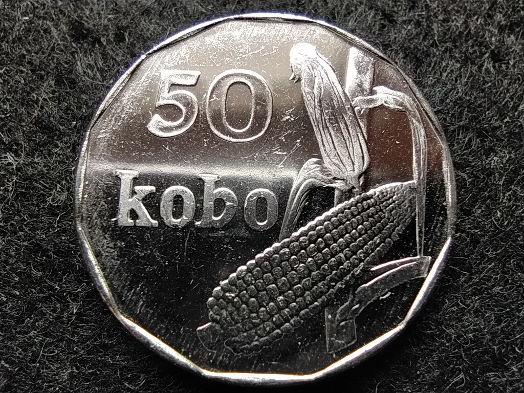 Nigéria Szövetségi Köztársaság (1959-) 50 Kobo 2006