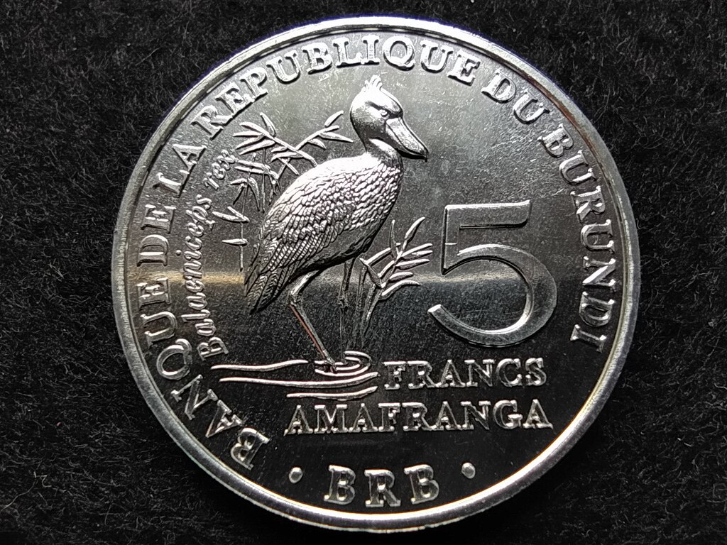 Burundi Papucscsőrű madár 5 Frank 2014