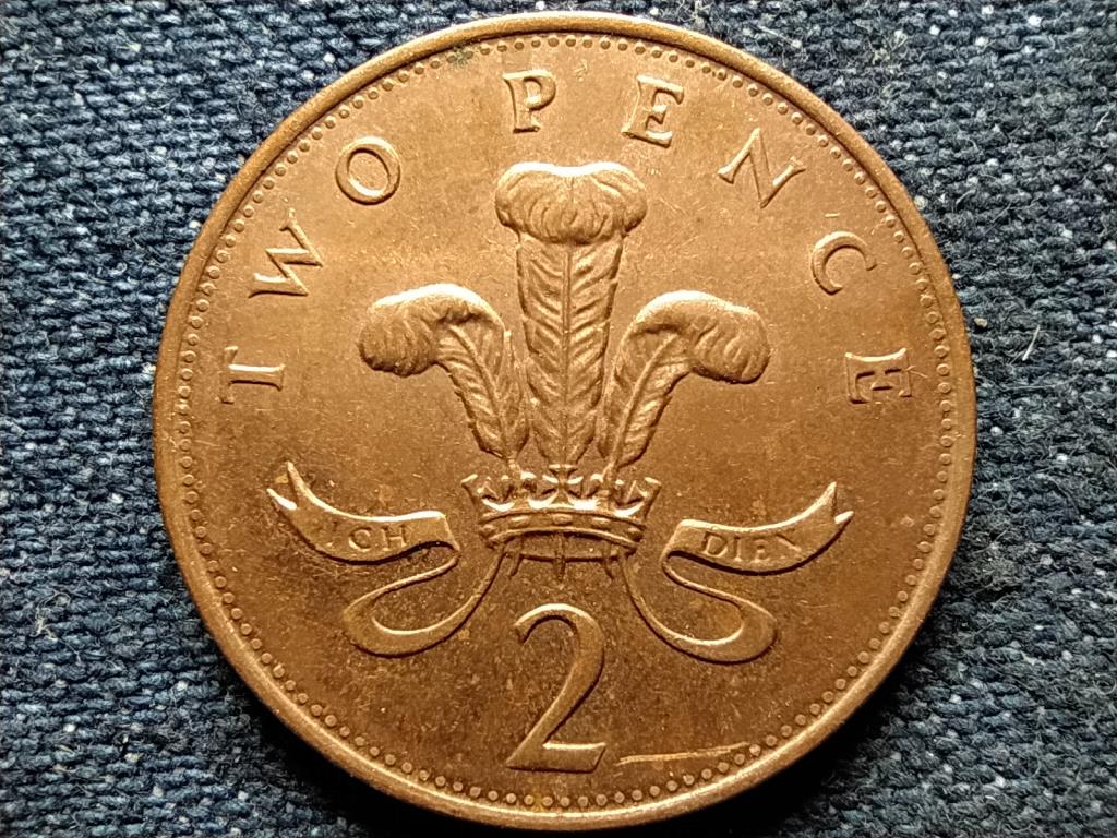 Anglia II. Erzsébet (1952-) 2 Penny 1993