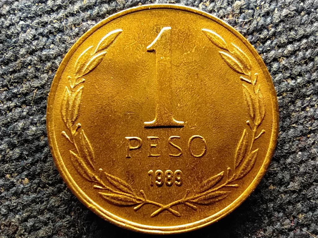 Chile 1 peso 1989 So