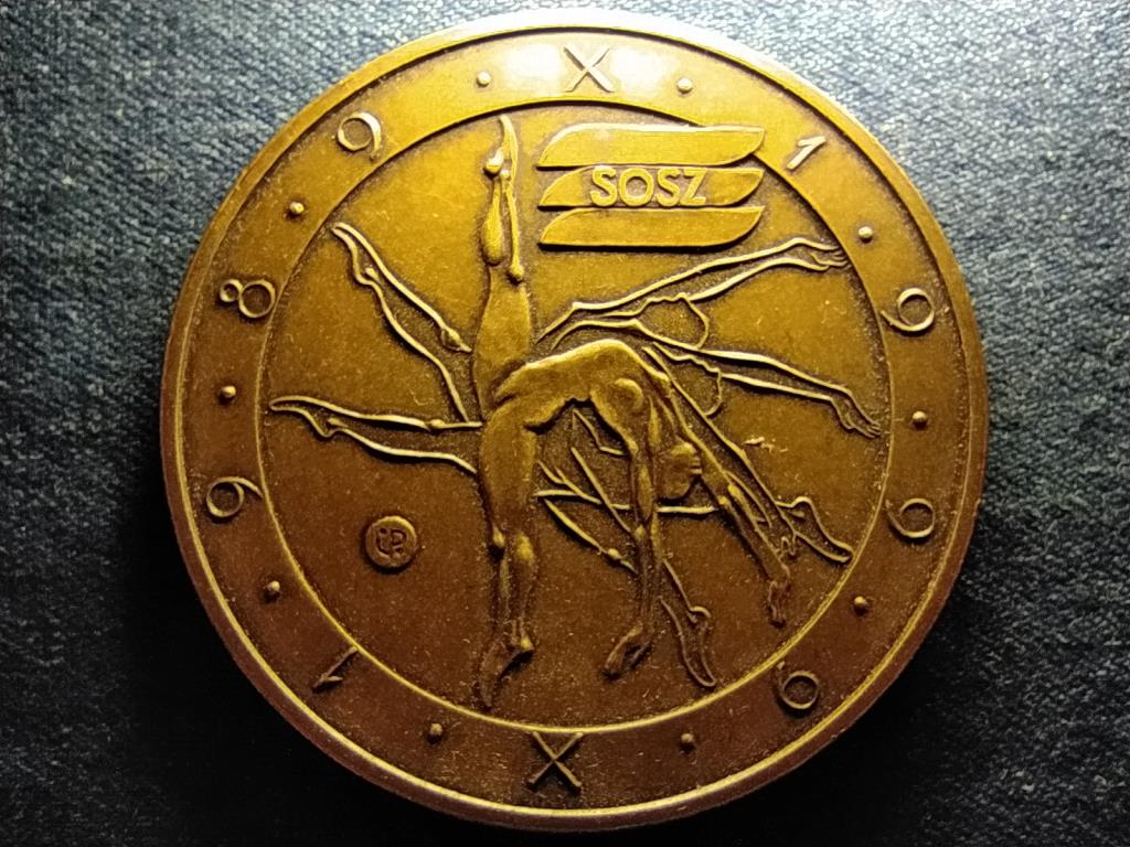 SOSZ 1989-1999 bronz plakett 
