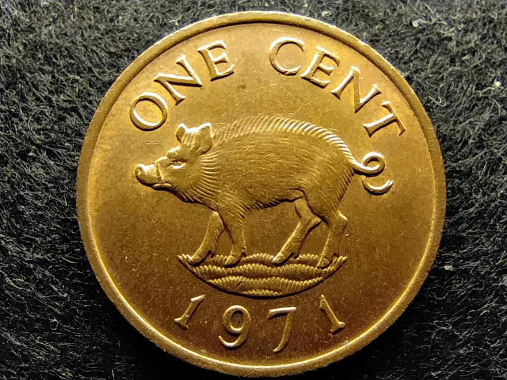 Bermuda II. Erzsébet (1952-1961) 1 Cent 1971