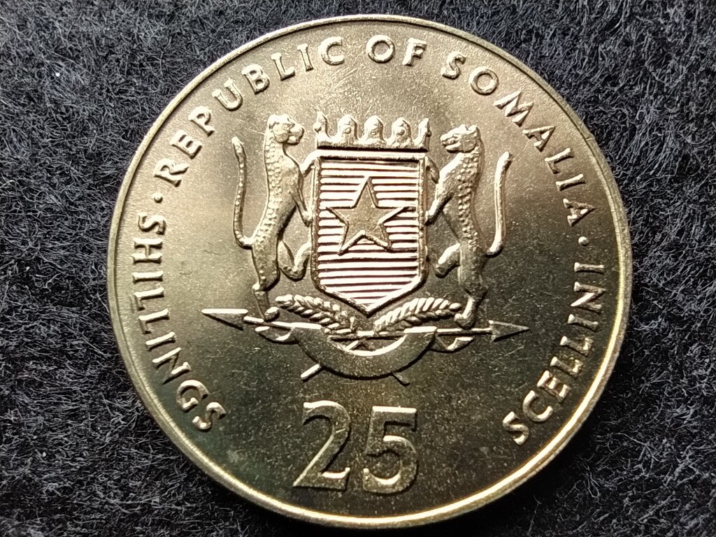 Szomália Szomáliai Köztársaság (1991-) 25 Shilling 