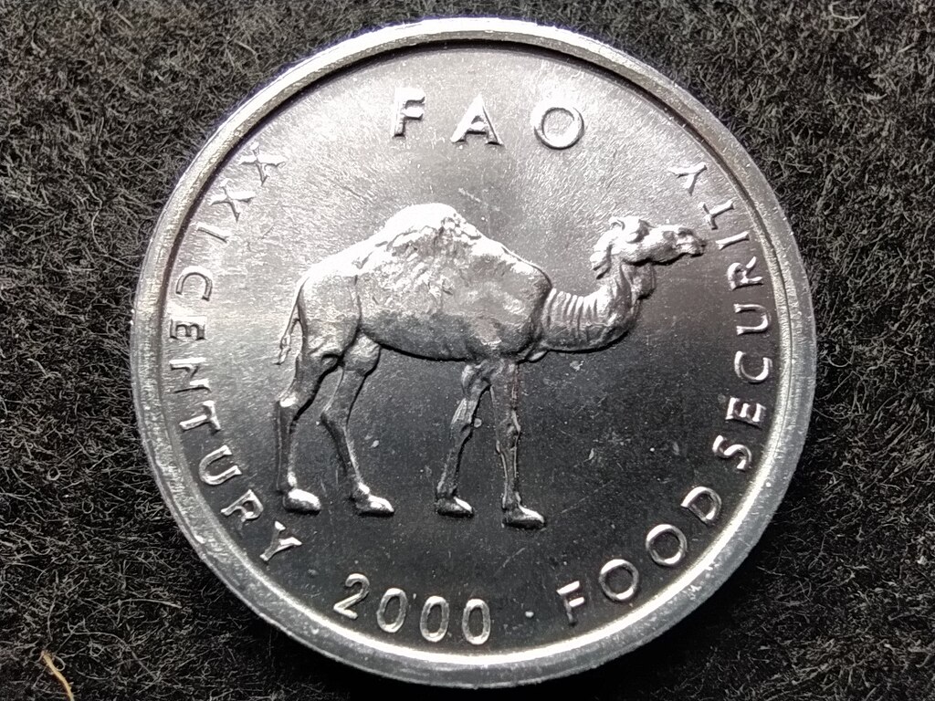 Szomália FAO 10 Shilling 