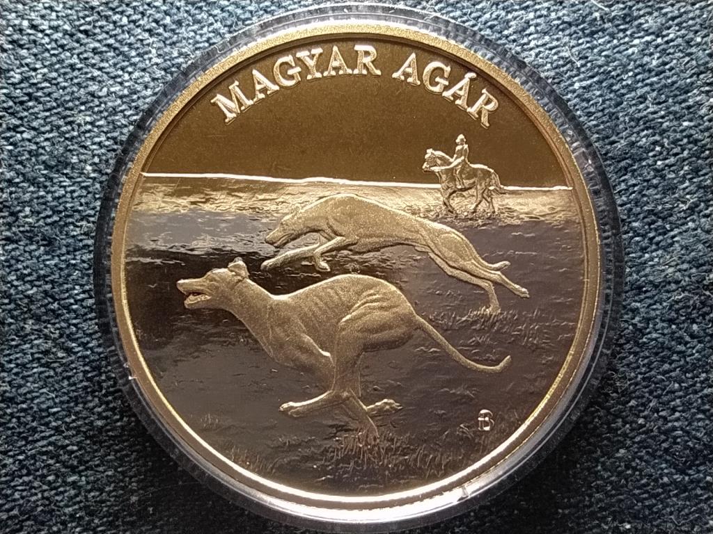 Magyar agár 2000 Forint