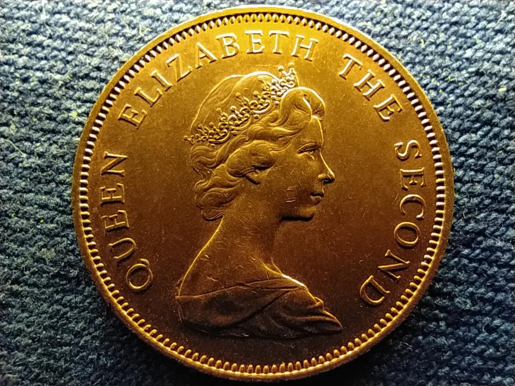 Falkland-szigetek II. Erzsébet (1952-2022) 2 Penny