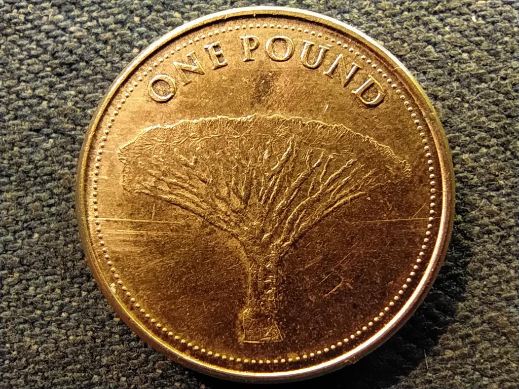 Gibraltár Sárkányfa 1 font