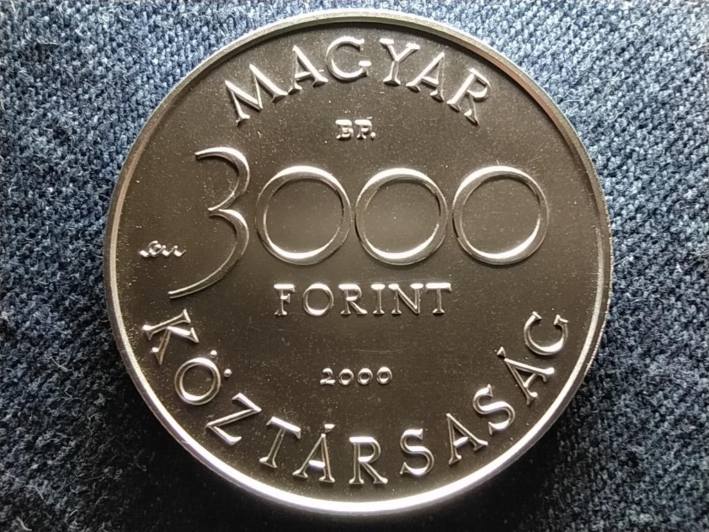 Európai hód .925 ezüst 3000 Forint