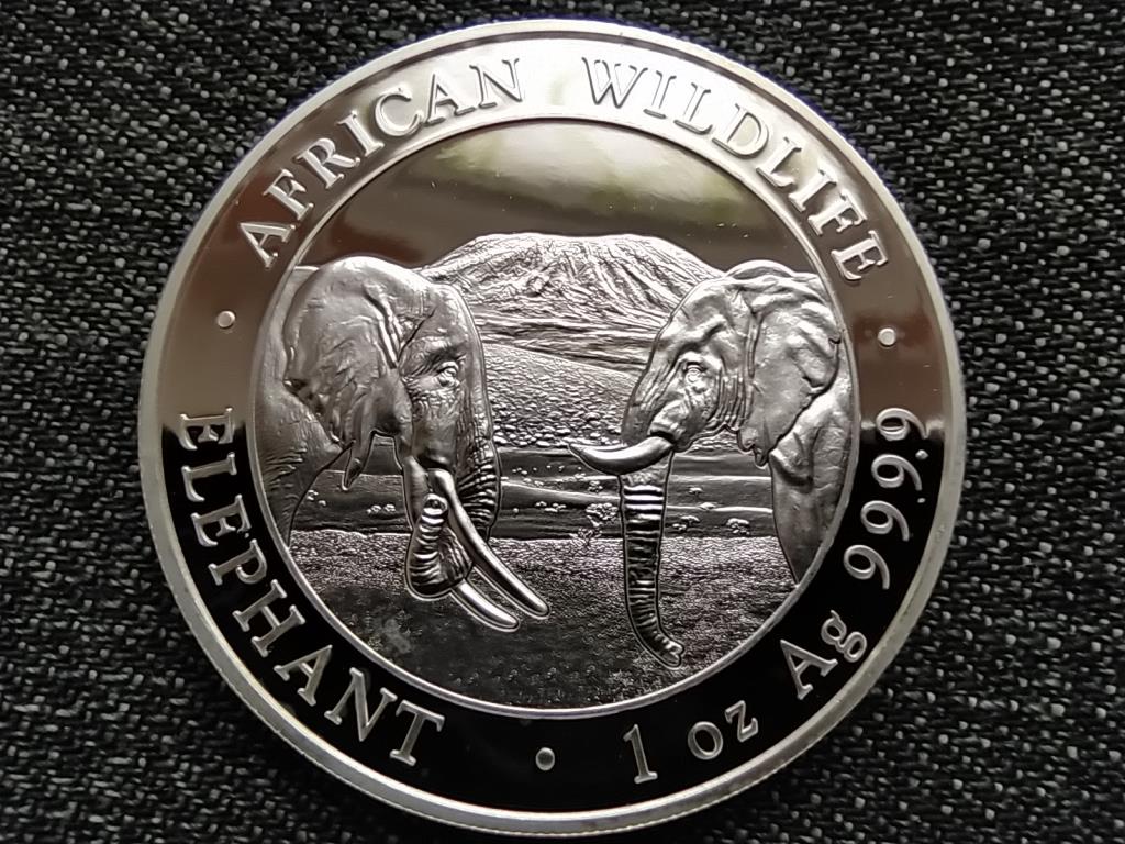 Szomália .999 ezüst 100 Shilling
