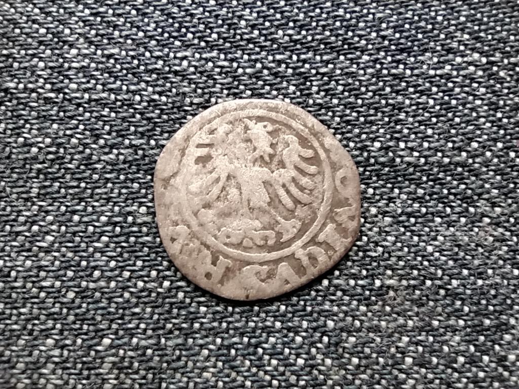 Lengyelország II. Lajos (1516-1526) ezüst 1/2 grosz
