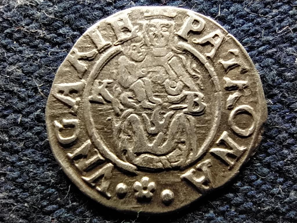 I. Miksa (1564-1576) .438 ezüst 1 Dénár ÉH767