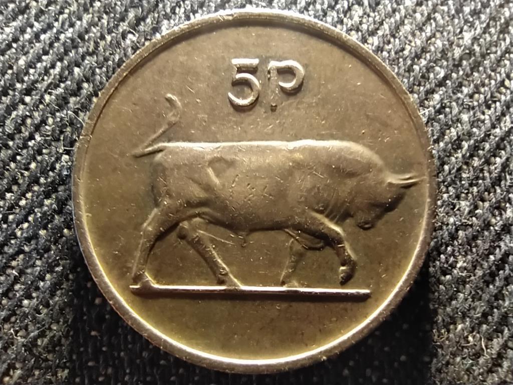 Írország bika 5 penny