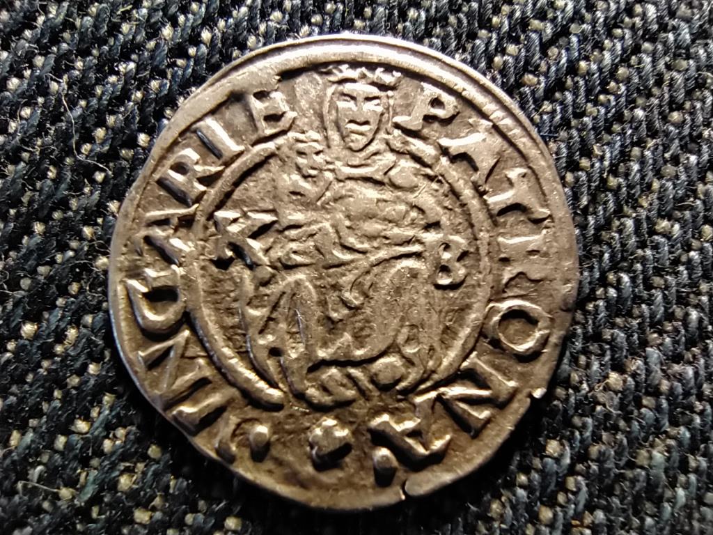 I. Miksa (1564-1576) .500 ezüst 1 Dénár ÉH766