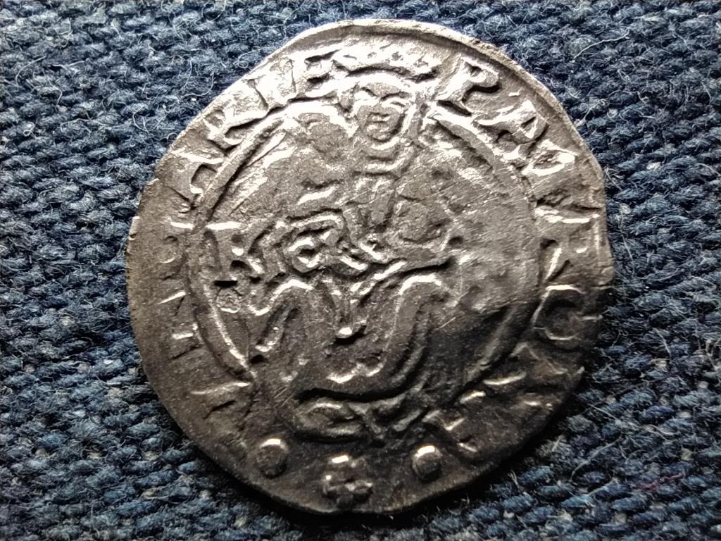 I. Ferdinánd (1526-1564) .500 ezüst 1 Dénár ÉH748 1565 KB
