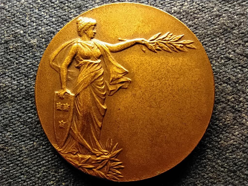 Svédország A Svéd Katonai Sportszövetség kitüntetése 1931 réz érem
