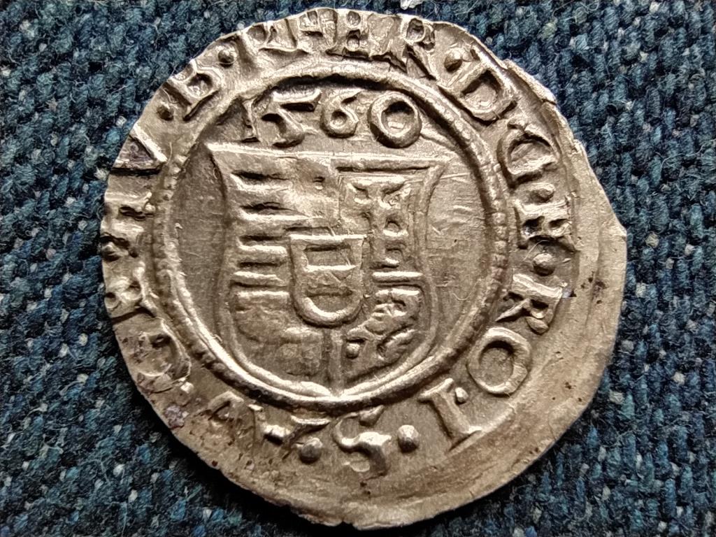 I. Ferdinánd (1526-1564) .500 ezüst 1 Dénár ÉH748 1560 KB