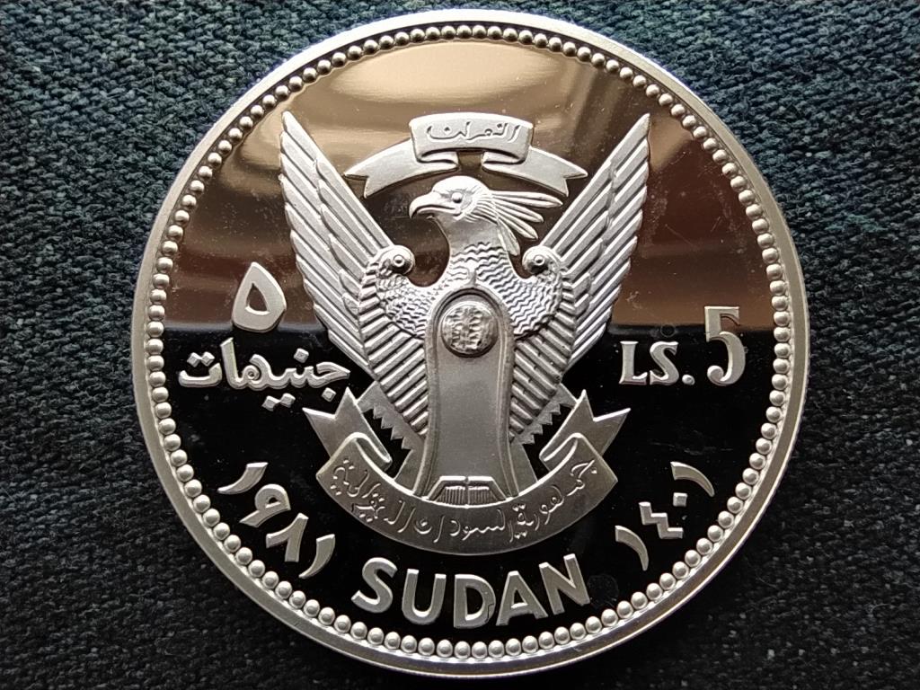 Szudán Gyermekek Nemzetközi Éve 5 font 1981 PP