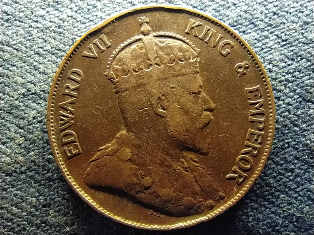 Hongkong VII. Eduárd (1901-1910) 1 Cent 1905 H