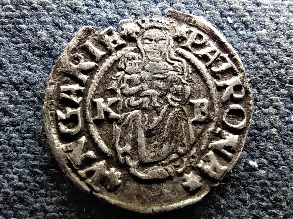 I. Ferdinánd (1526-1564) ezüst Dénár ÉH745 1541 KB
