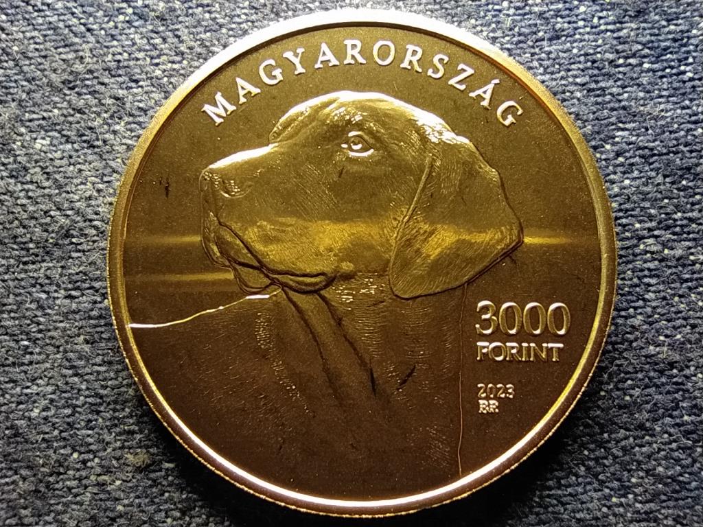 Magyarország Erdélyi kopó 3000 Forint 2023 BP PL