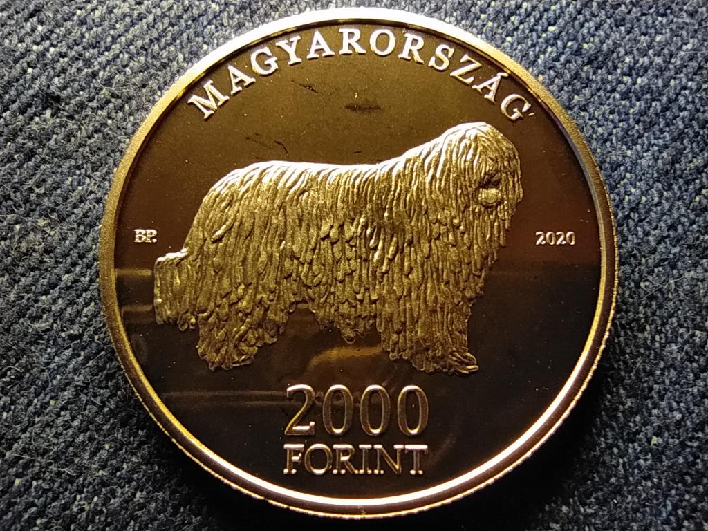 Komondor 2000 Forint 2020 BP PL