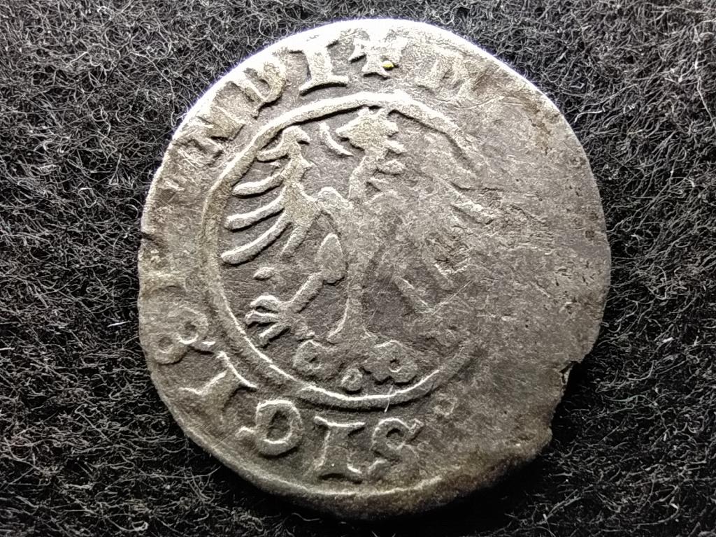 Lengyelország I. (Öreg) Zsigmond (1506-1548) ezüst 1/2 Garas 15??